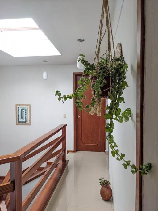 Готель Casa Mua Сан-Крістобаль-де-лас-Касас Екстер'єр фото